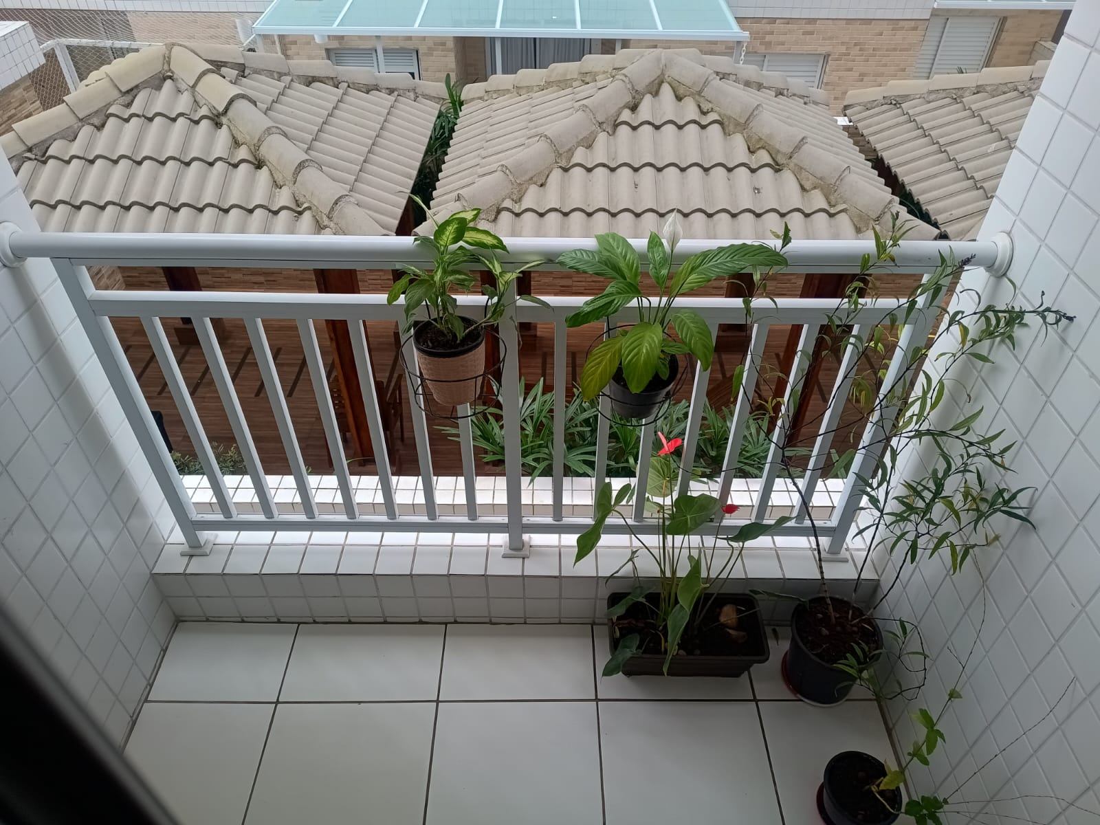 CO0003 - Apto 02 Dormitórios - Aviação