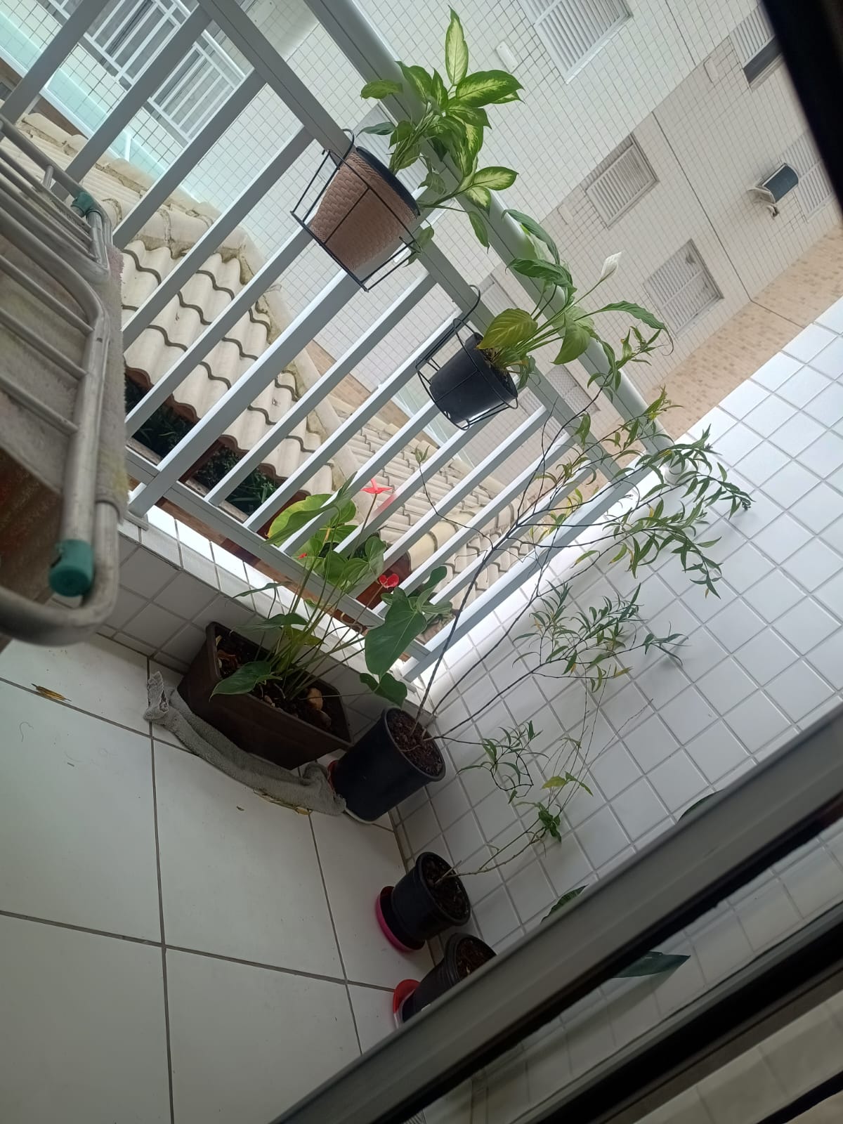 CO0003 - Apto 02 Dormitórios - Aviação